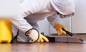 Best Real Estate Pest Inspections  in Magnolia, AR